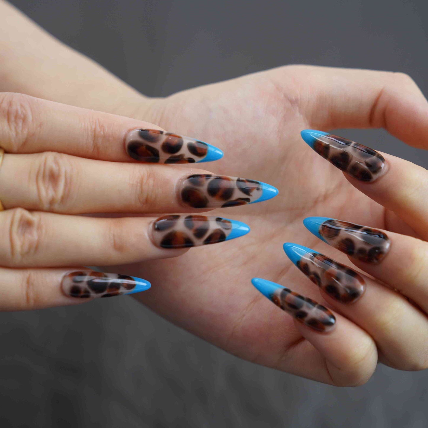Blue Leopard